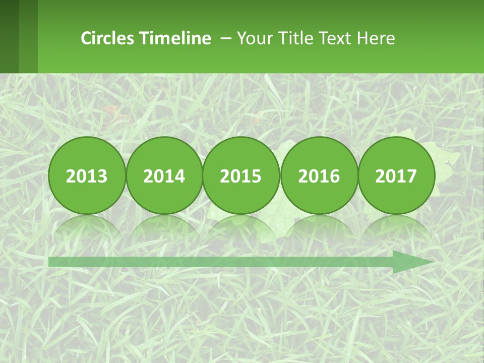 A Green Leafy Plant In The Middle Of Some Grass PowerPoint Template