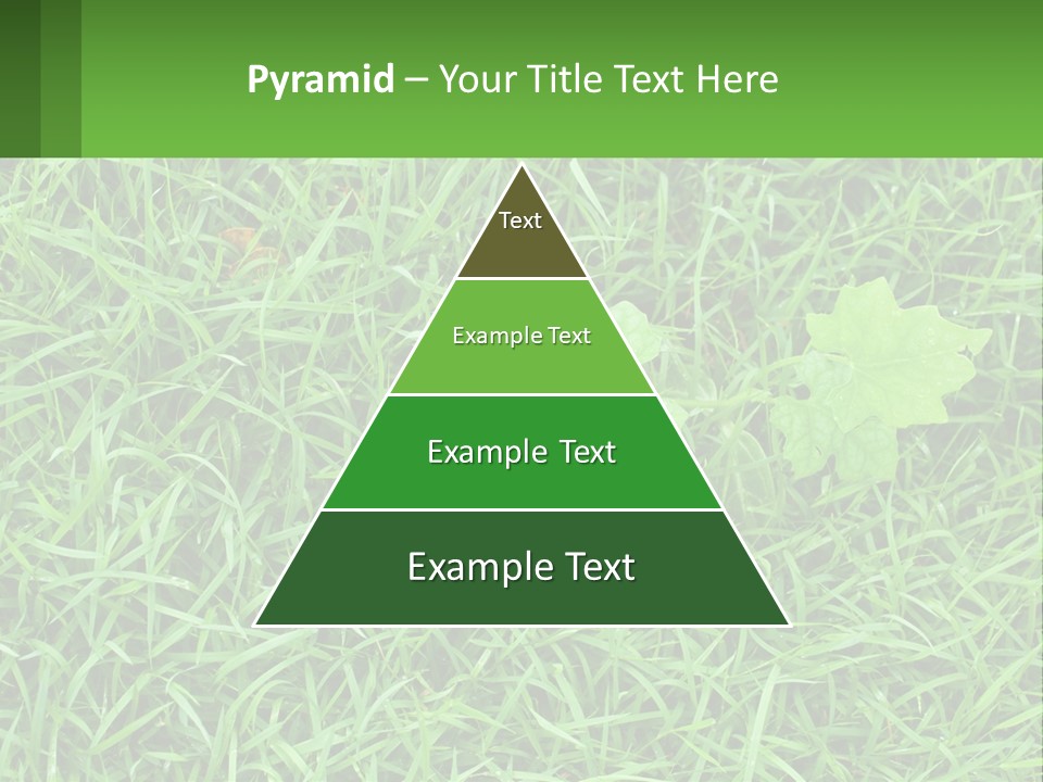 A Green Leafy Plant In The Middle Of Some Grass PowerPoint Template