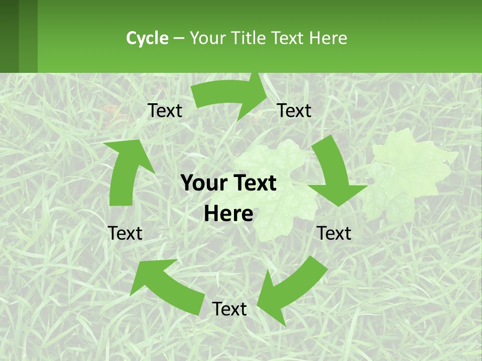 A Green Leafy Plant In The Middle Of Some Grass PowerPoint Template