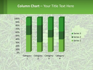 A Green Leafy Plant In The Middle Of Some Grass PowerPoint Template