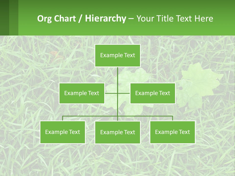 A Green Leafy Plant In The Middle Of Some Grass PowerPoint Template