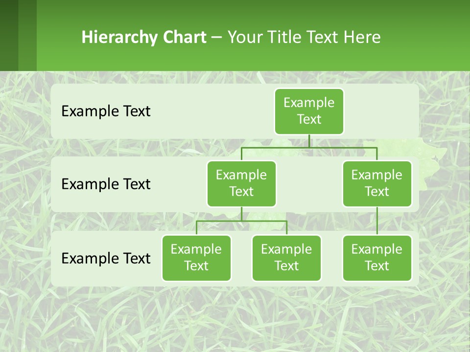 A Green Leafy Plant In The Middle Of Some Grass PowerPoint Template