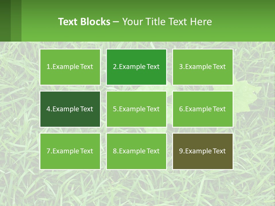 A Green Leafy Plant In The Middle Of Some Grass PowerPoint Template