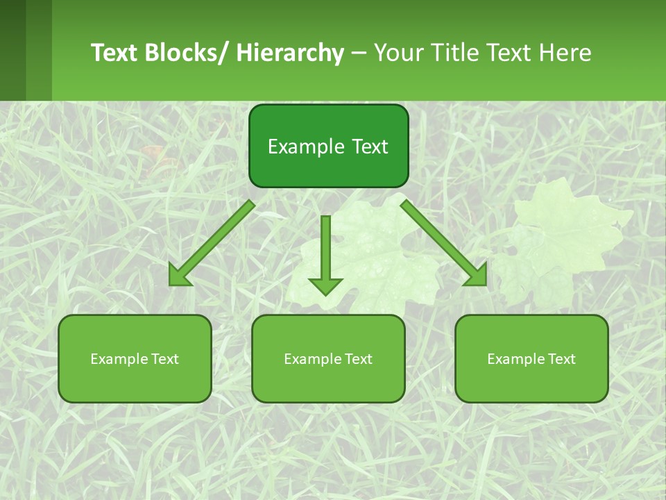 A Green Leafy Plant In The Middle Of Some Grass PowerPoint Template