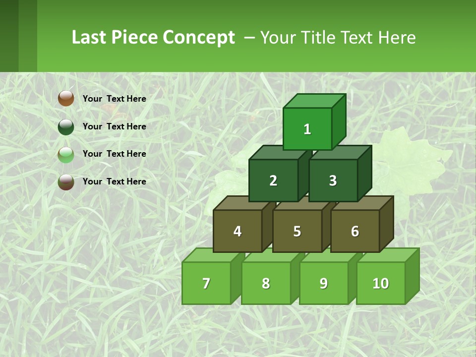 A Green Leafy Plant In The Middle Of Some Grass PowerPoint Template