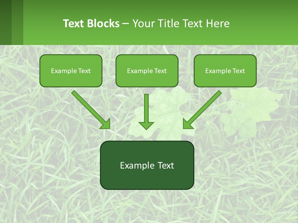 A Green Leafy Plant In The Middle Of Some Grass PowerPoint Template