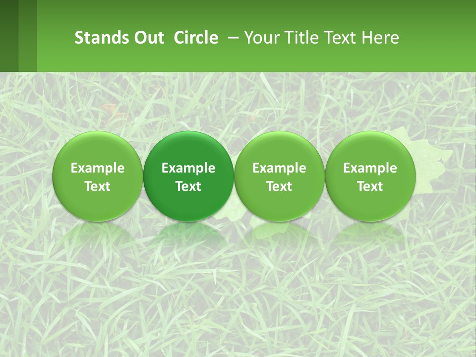 A Green Leafy Plant In The Middle Of Some Grass PowerPoint Template