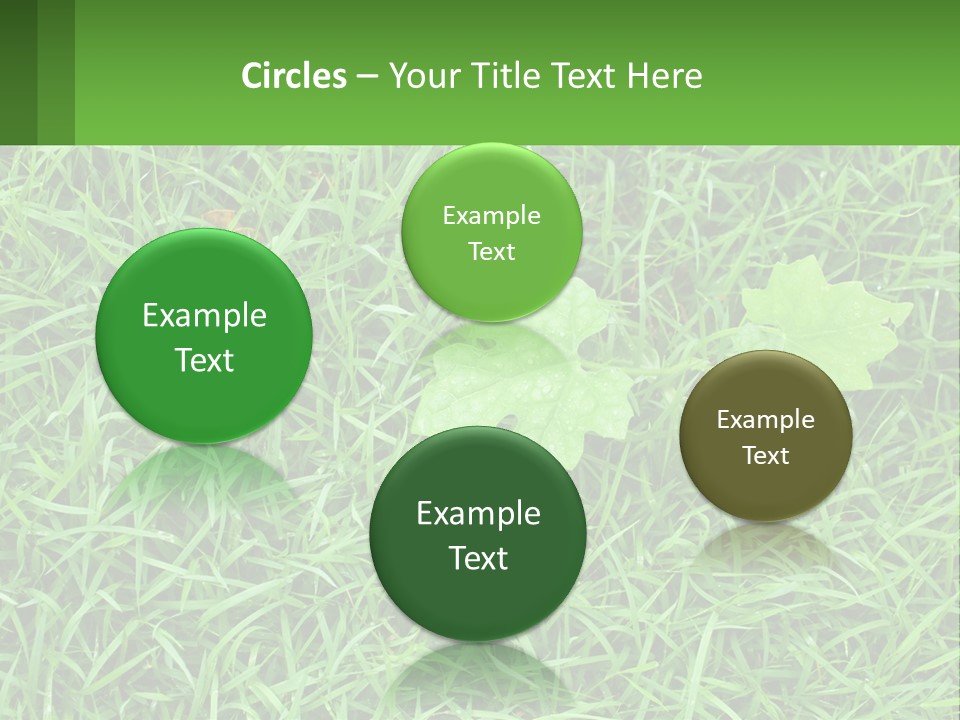 A Green Leafy Plant In The Middle Of Some Grass PowerPoint Template