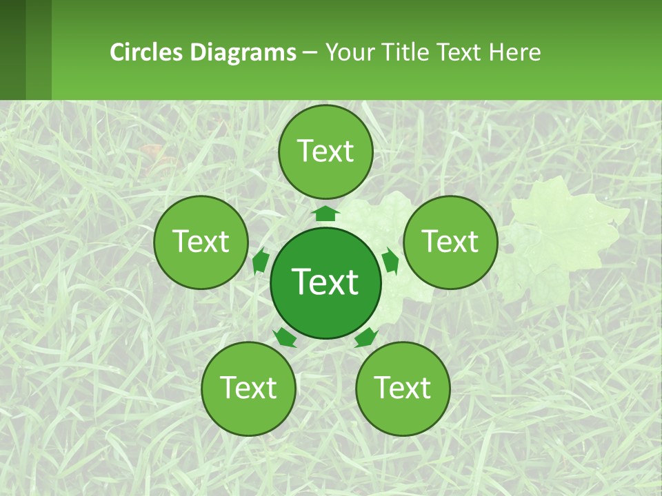 A Green Leafy Plant In The Middle Of Some Grass PowerPoint Template