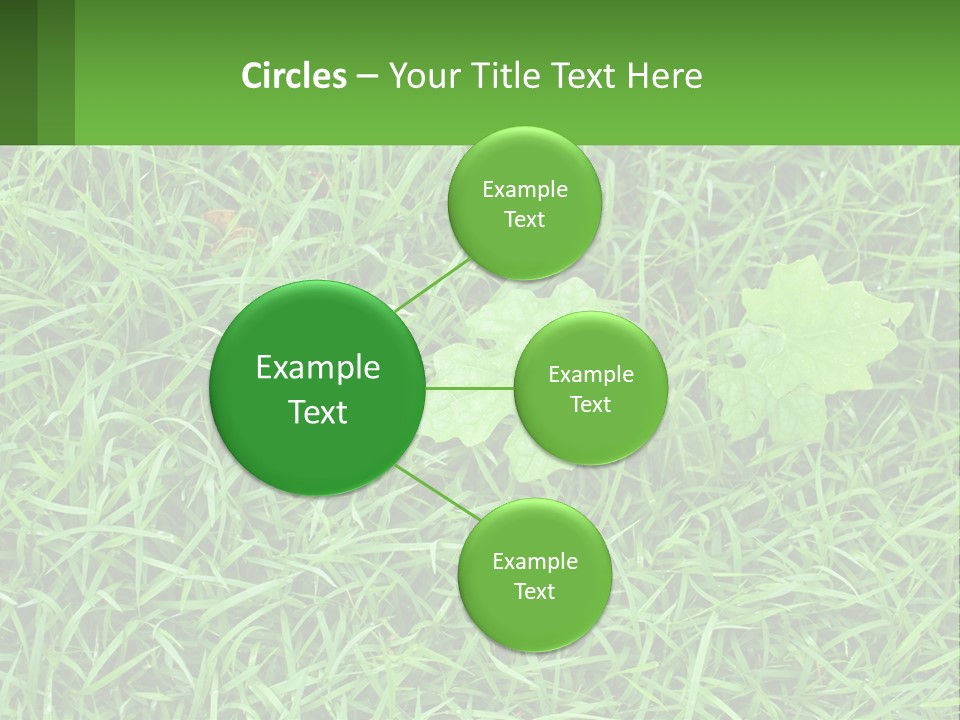 A Green Leafy Plant In The Middle Of Some Grass PowerPoint Template