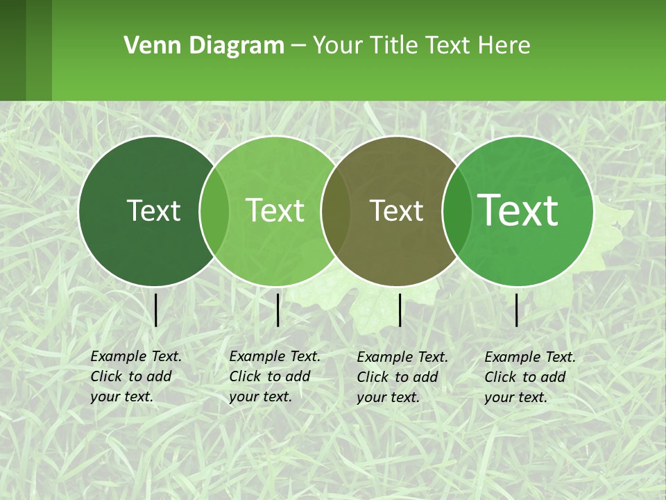 A Green Leafy Plant In The Middle Of Some Grass PowerPoint Template