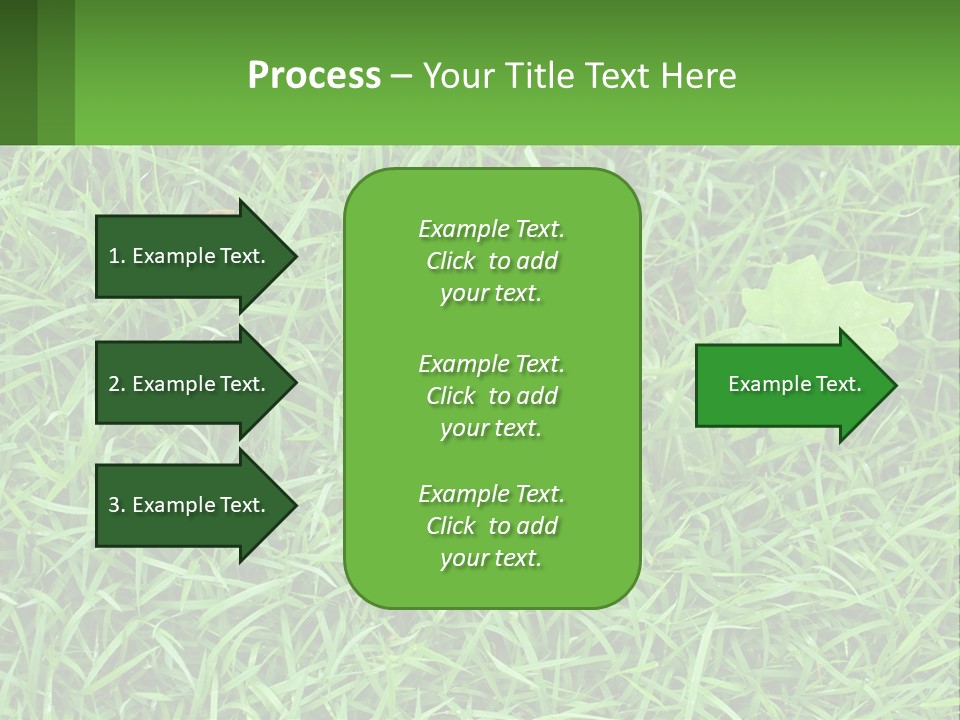 A Green Leafy Plant In The Middle Of Some Grass PowerPoint Template
