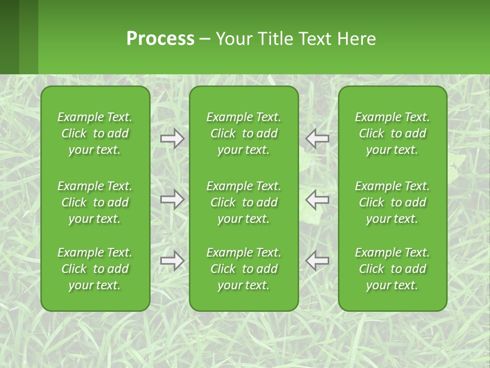 A Green Leafy Plant In The Middle Of Some Grass PowerPoint Template