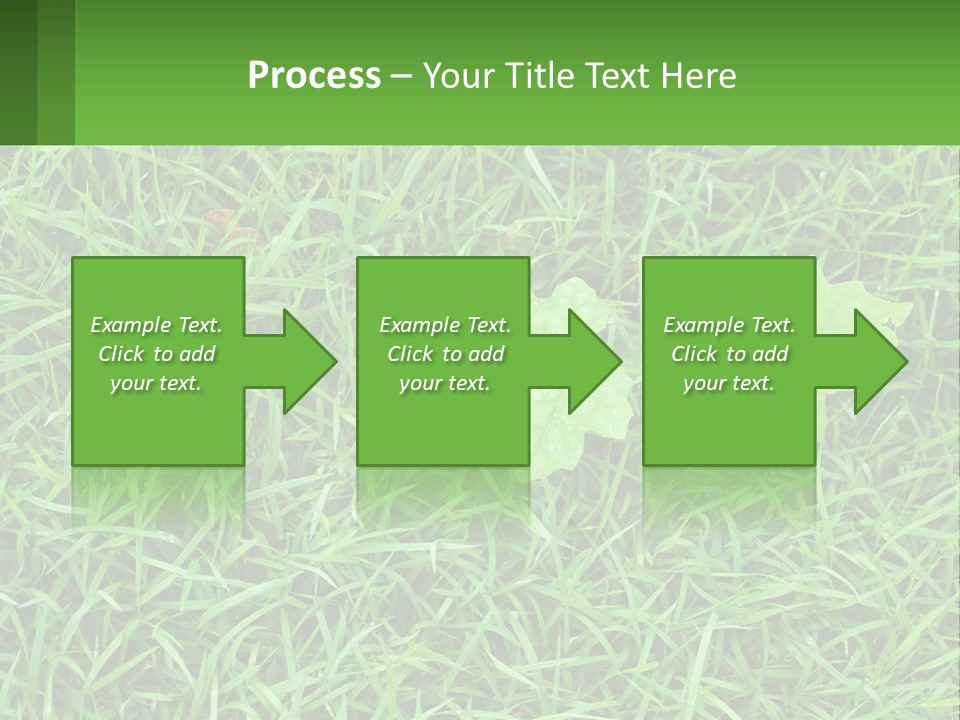 A Green Leafy Plant In The Middle Of Some Grass PowerPoint Template