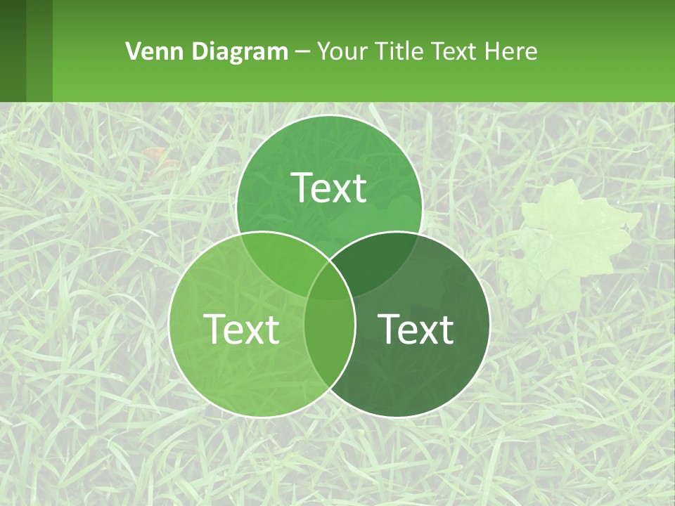 A Green Leafy Plant In The Middle Of Some Grass PowerPoint Template