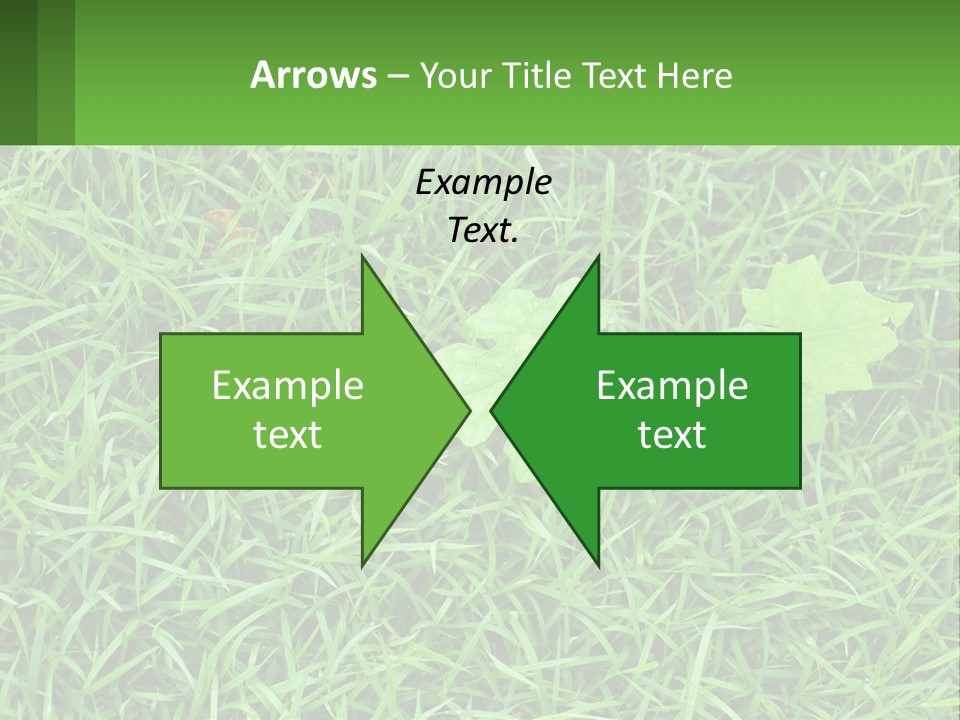 A Green Leafy Plant In The Middle Of Some Grass PowerPoint Template