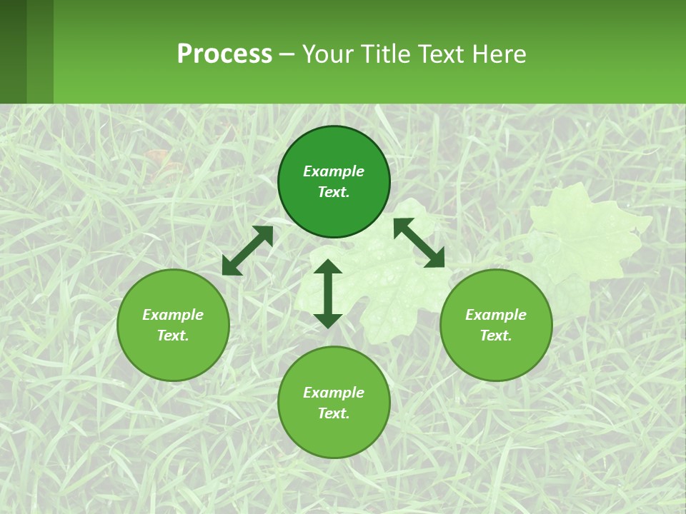 A Green Leafy Plant In The Middle Of Some Grass PowerPoint Template