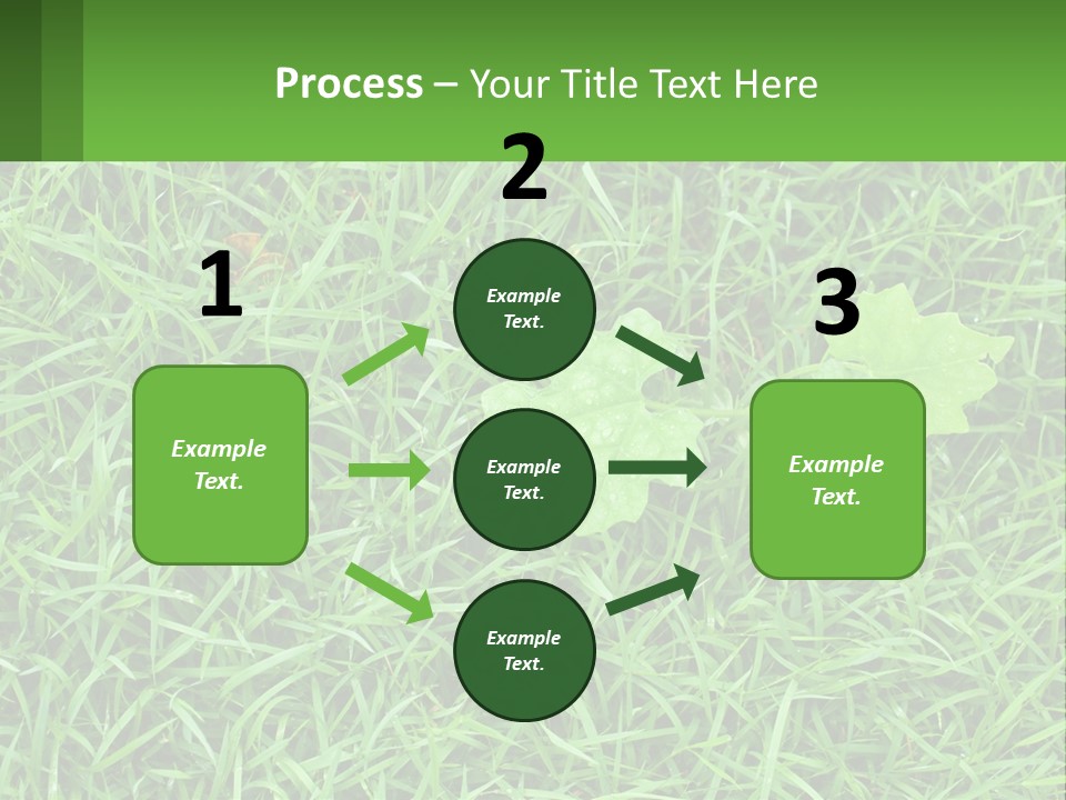 A Green Leafy Plant In The Middle Of Some Grass PowerPoint Template