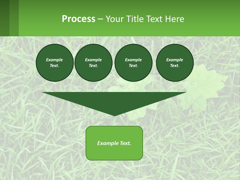 A Green Leafy Plant In The Middle Of Some Grass PowerPoint Template