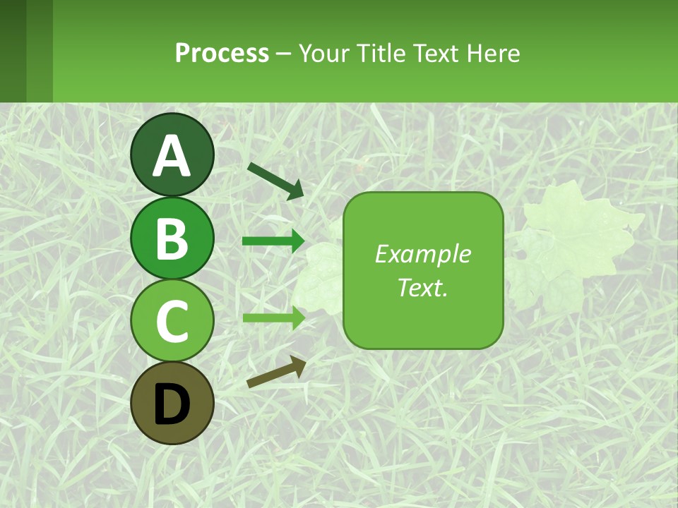 A Green Leafy Plant In The Middle Of Some Grass PowerPoint Template