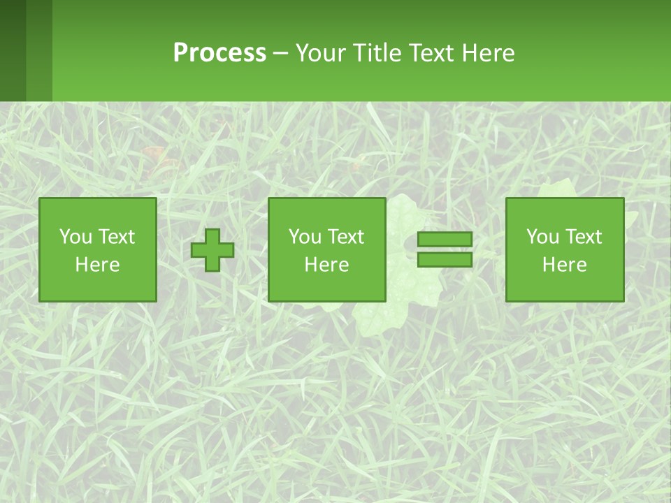 A Green Leafy Plant In The Middle Of Some Grass PowerPoint Template
