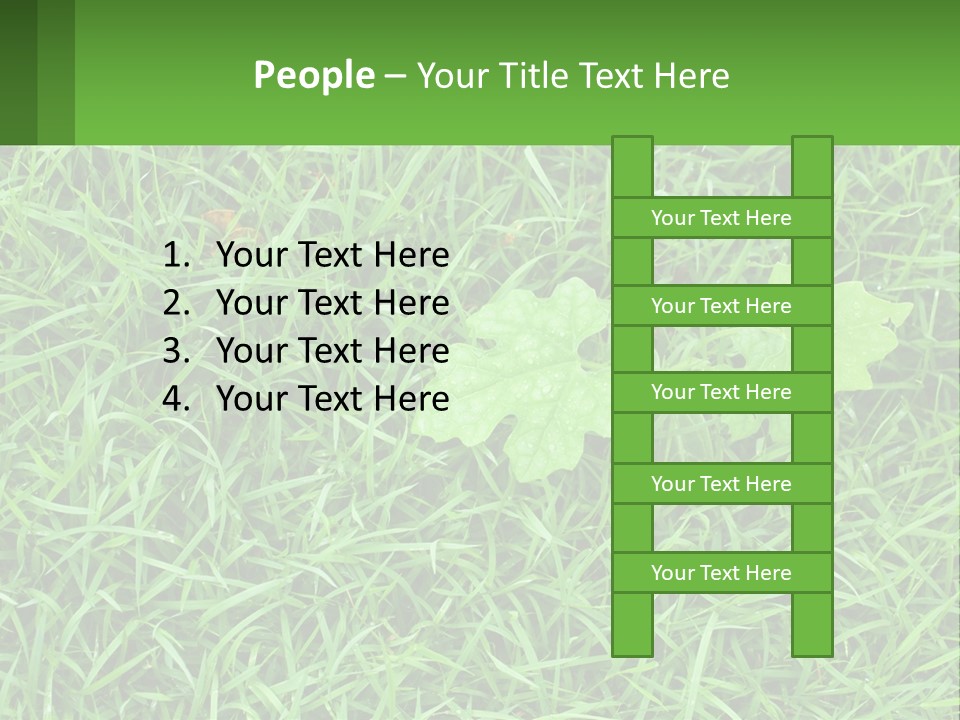 A Green Leafy Plant In The Middle Of Some Grass PowerPoint Template