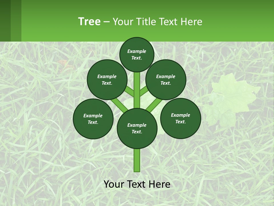 A Green Leafy Plant In The Middle Of Some Grass PowerPoint Template