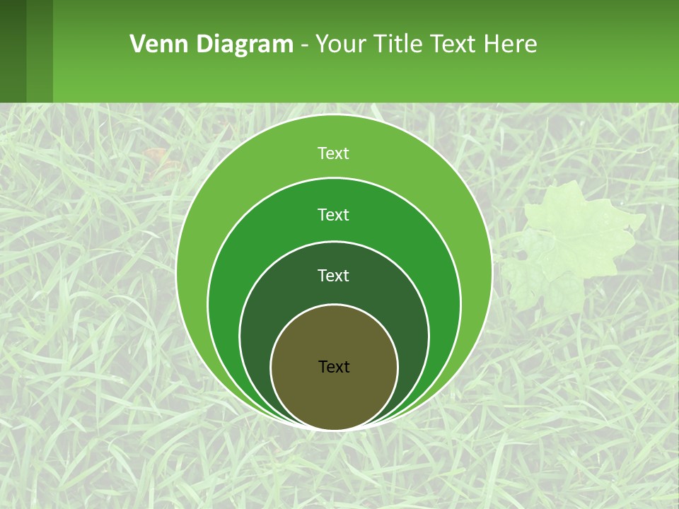 A Green Leafy Plant In The Middle Of Some Grass PowerPoint Template