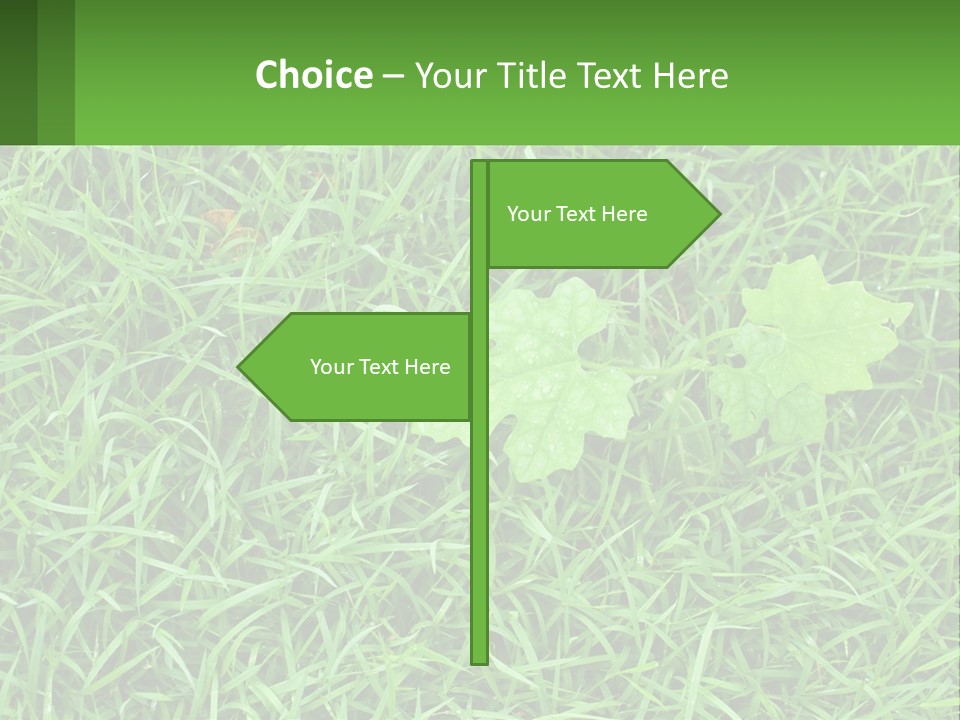A Green Leafy Plant In The Middle Of Some Grass PowerPoint Template