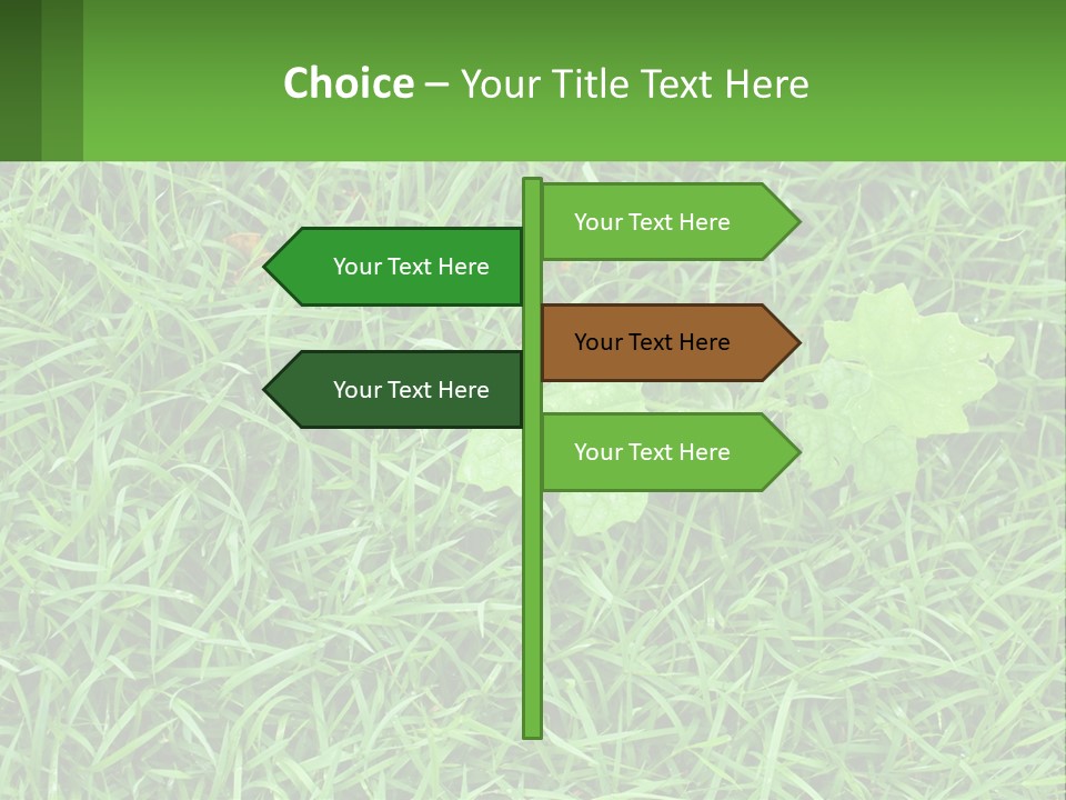 A Green Leafy Plant In The Middle Of Some Grass PowerPoint Template