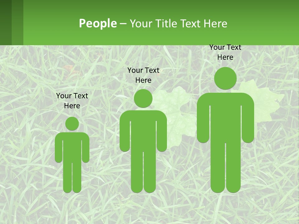 A Green Leafy Plant In The Middle Of Some Grass PowerPoint Template