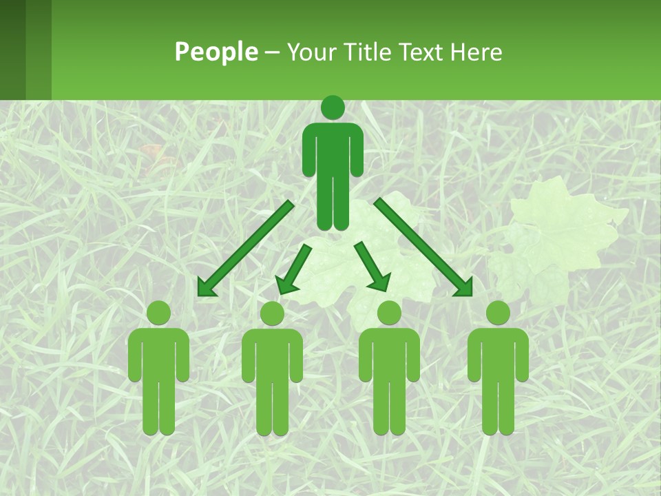 A Green Leafy Plant In The Middle Of Some Grass PowerPoint Template