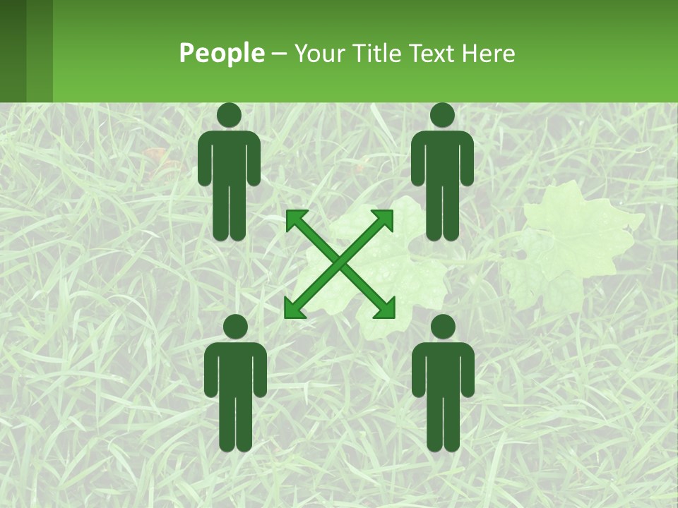 A Green Leafy Plant In The Middle Of Some Grass PowerPoint Template