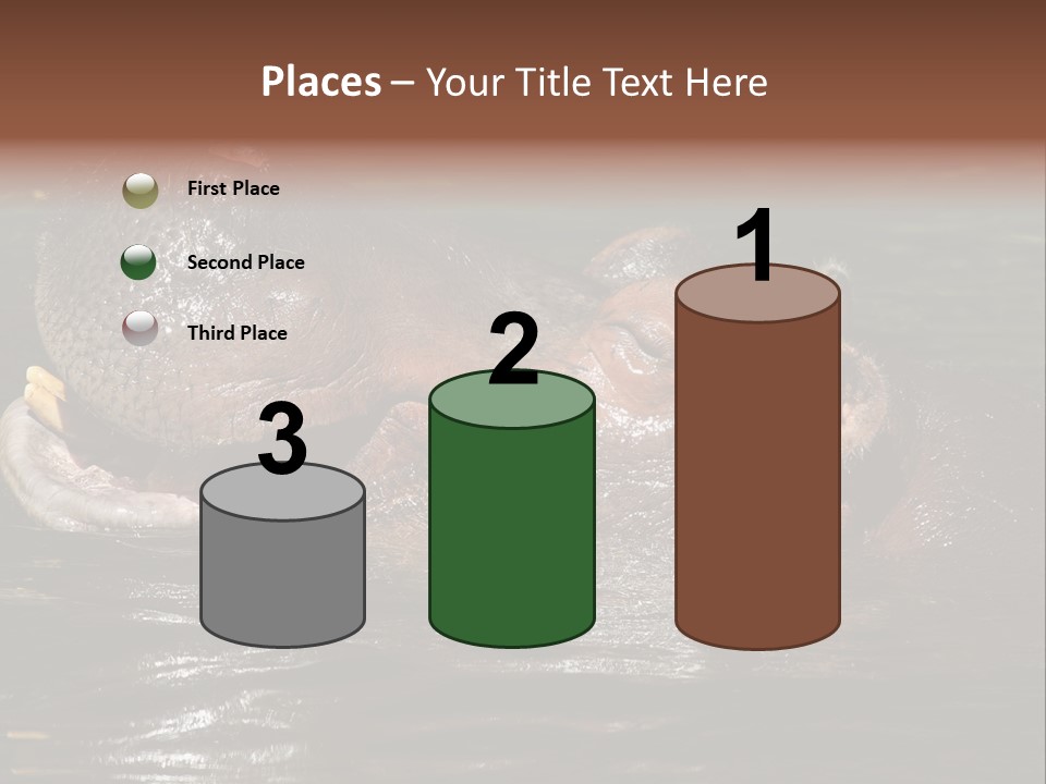 A Hippopotamus In A Body Of Water With Its Mouth Open PowerPoint Template