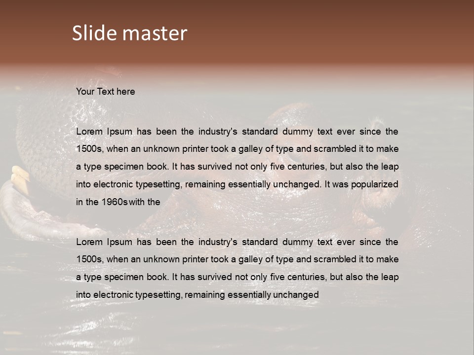 A Hippopotamus In A Body Of Water With Its Mouth Open PowerPoint Template