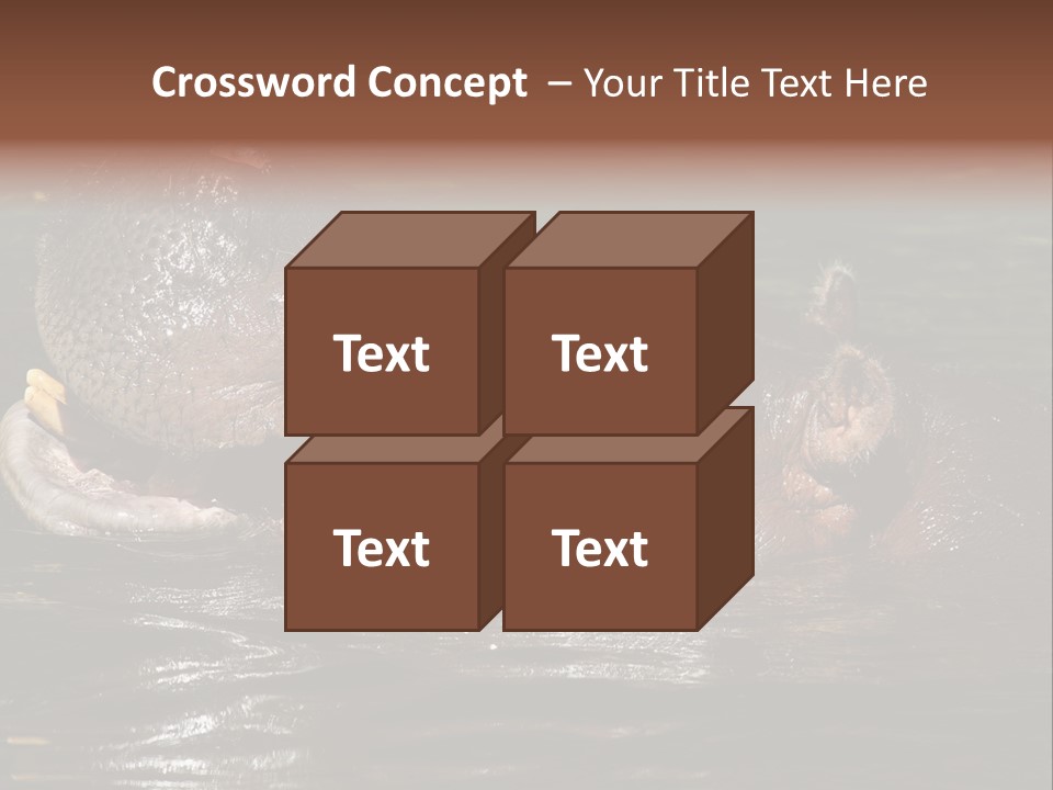 A Hippopotamus In A Body Of Water With Its Mouth Open PowerPoint Template