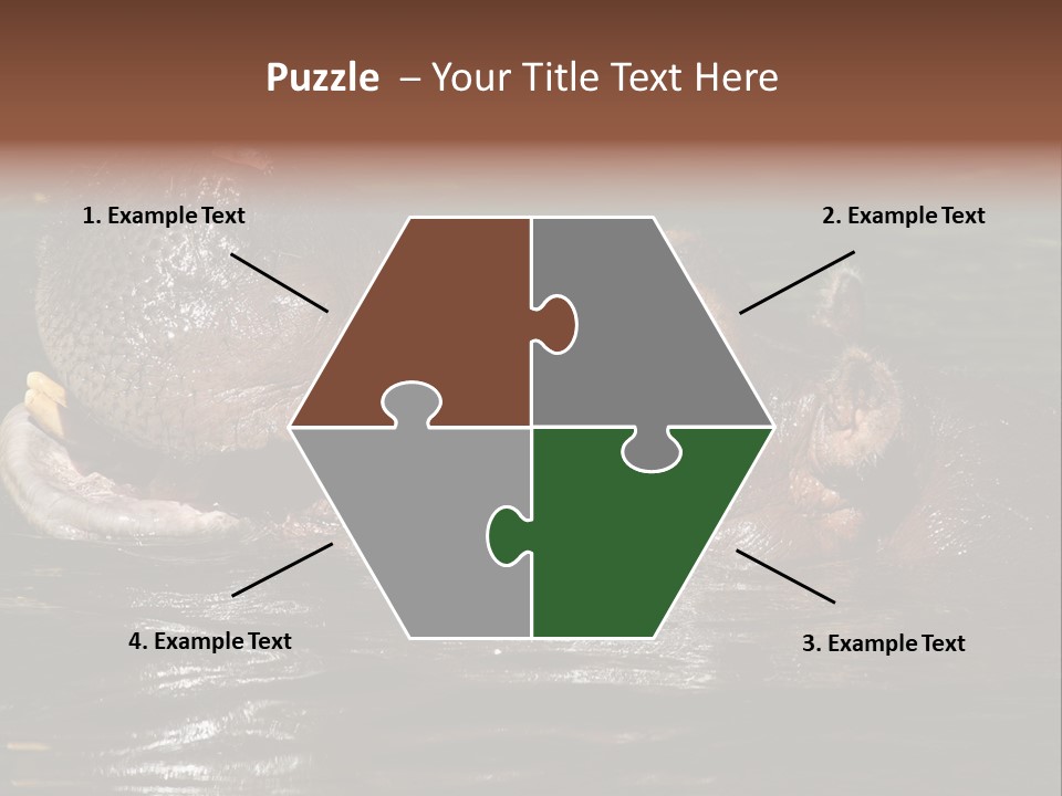 A Hippopotamus In A Body Of Water With Its Mouth Open PowerPoint Template