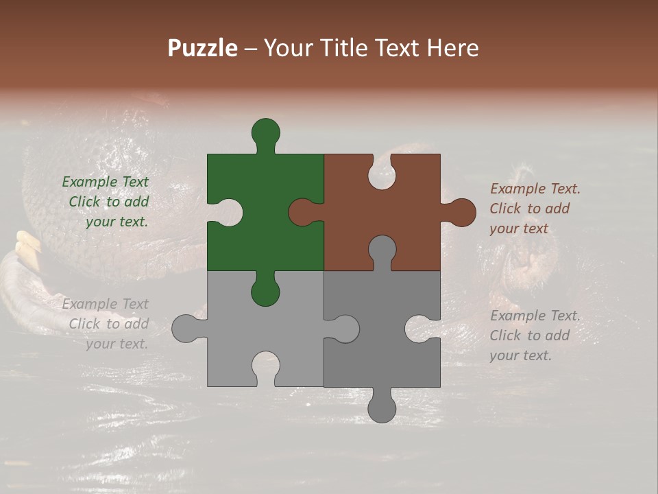 A Hippopotamus In A Body Of Water With Its Mouth Open PowerPoint Template