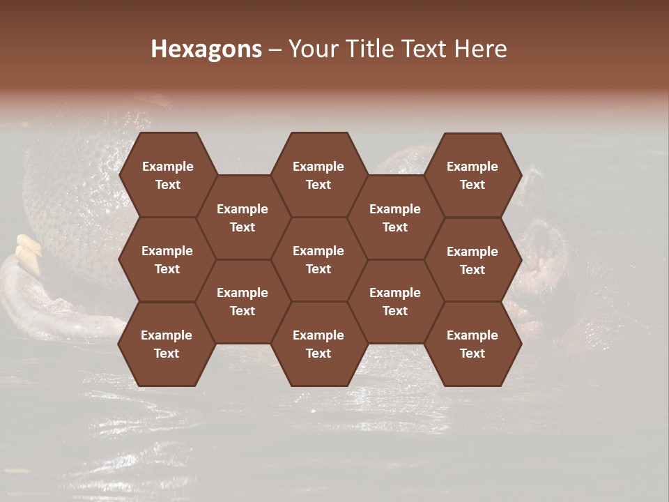 A Hippopotamus In A Body Of Water With Its Mouth Open PowerPoint Template