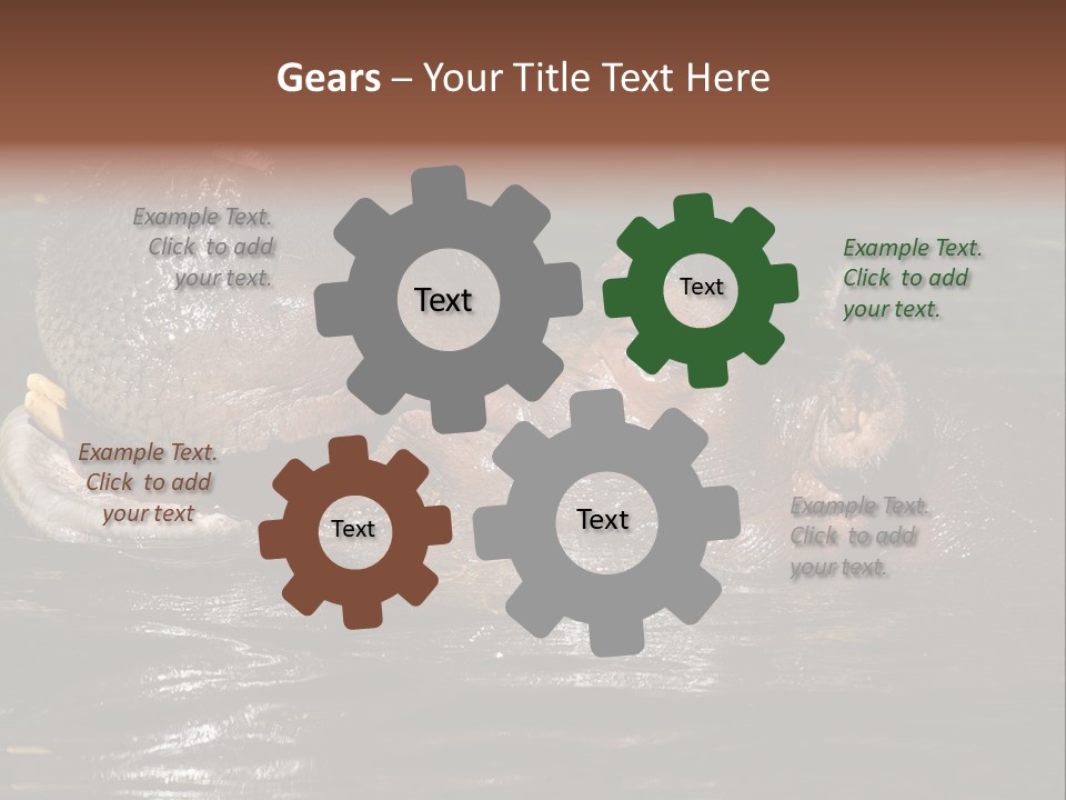 A Hippopotamus In A Body Of Water With Its Mouth Open PowerPoint Template