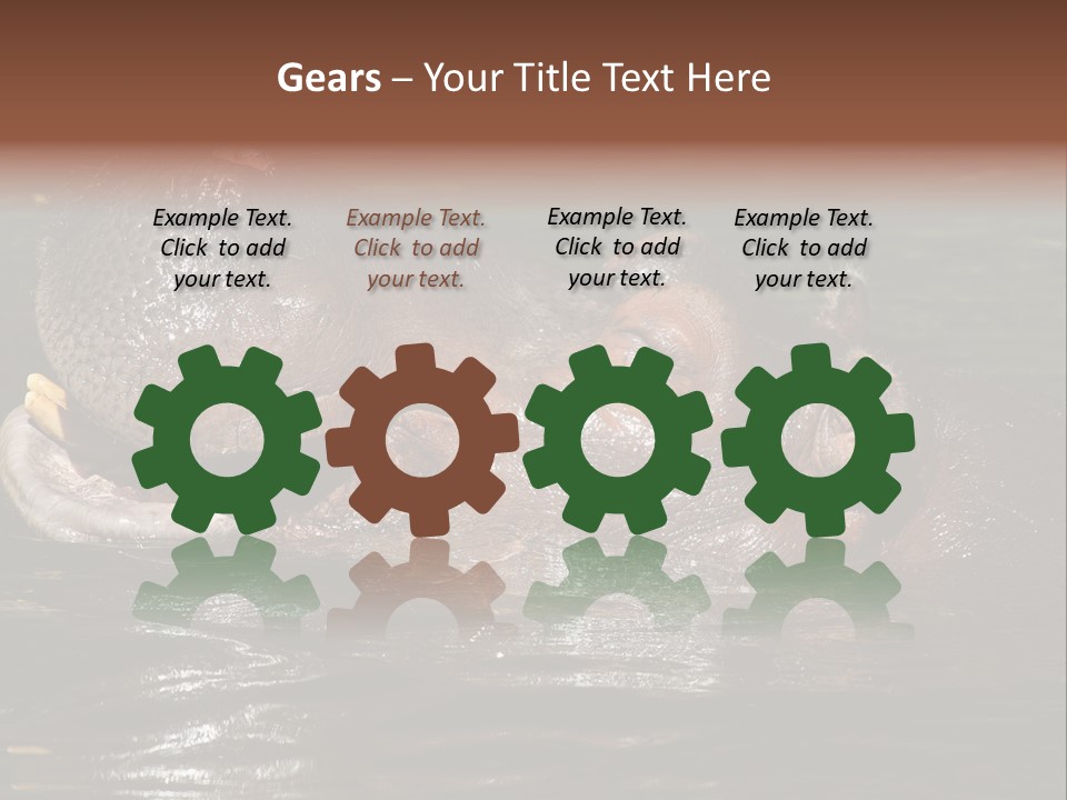 A Hippopotamus In A Body Of Water With Its Mouth Open PowerPoint Template