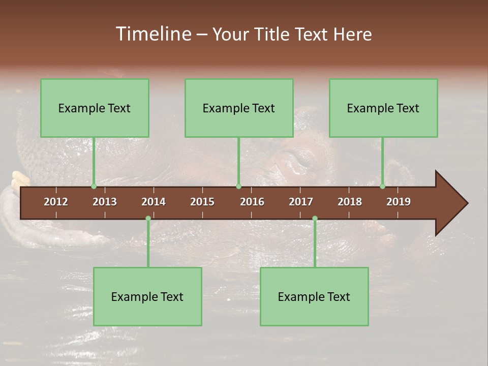 A Hippopotamus In A Body Of Water With Its Mouth Open PowerPoint Template