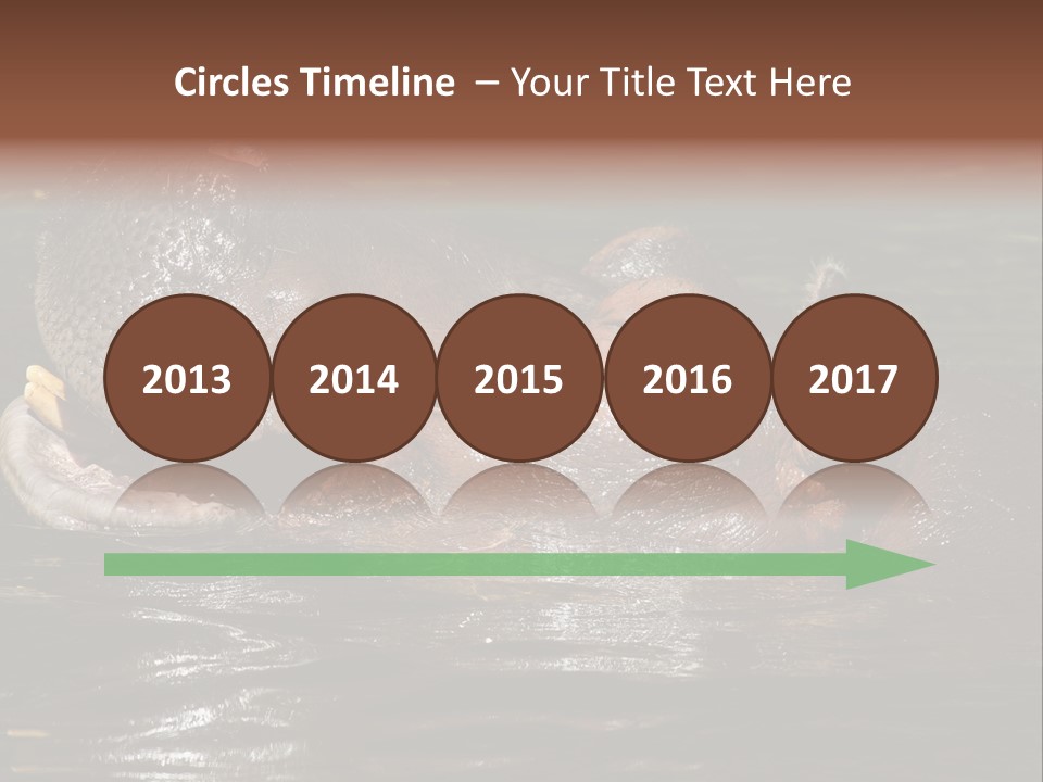 A Hippopotamus In A Body Of Water With Its Mouth Open PowerPoint Template