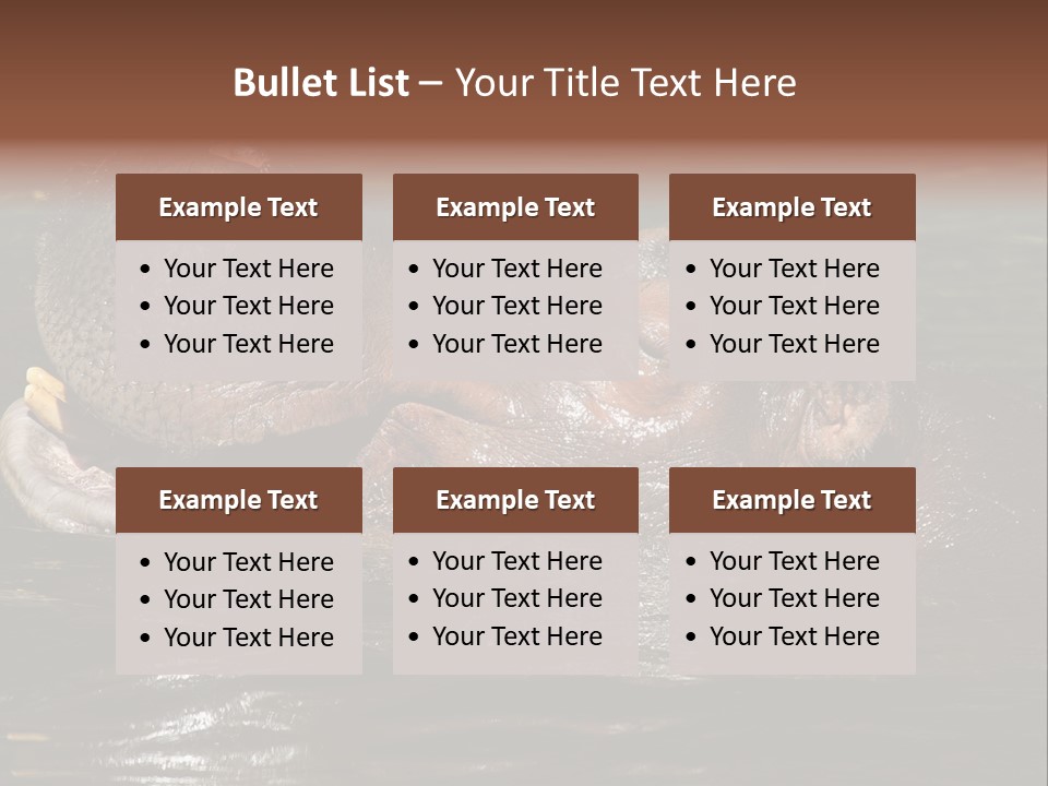 A Hippopotamus In A Body Of Water With Its Mouth Open PowerPoint Template