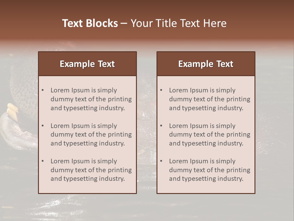 A Hippopotamus In A Body Of Water With Its Mouth Open PowerPoint Template