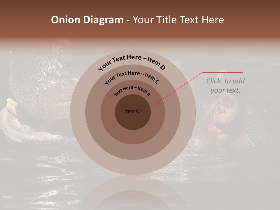 A Hippopotamus In A Body Of Water With Its Mouth Open PowerPoint Template