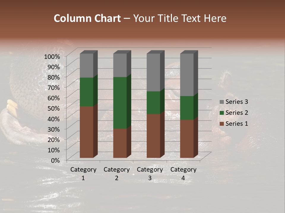 A Hippopotamus In A Body Of Water With Its Mouth Open PowerPoint Template