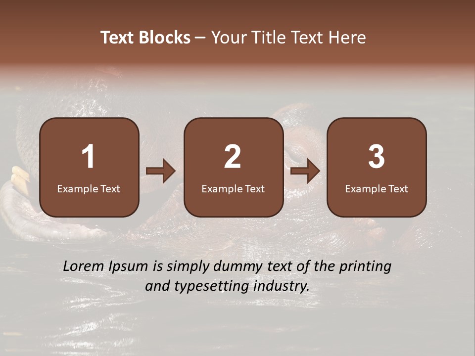 A Hippopotamus In A Body Of Water With Its Mouth Open PowerPoint Template