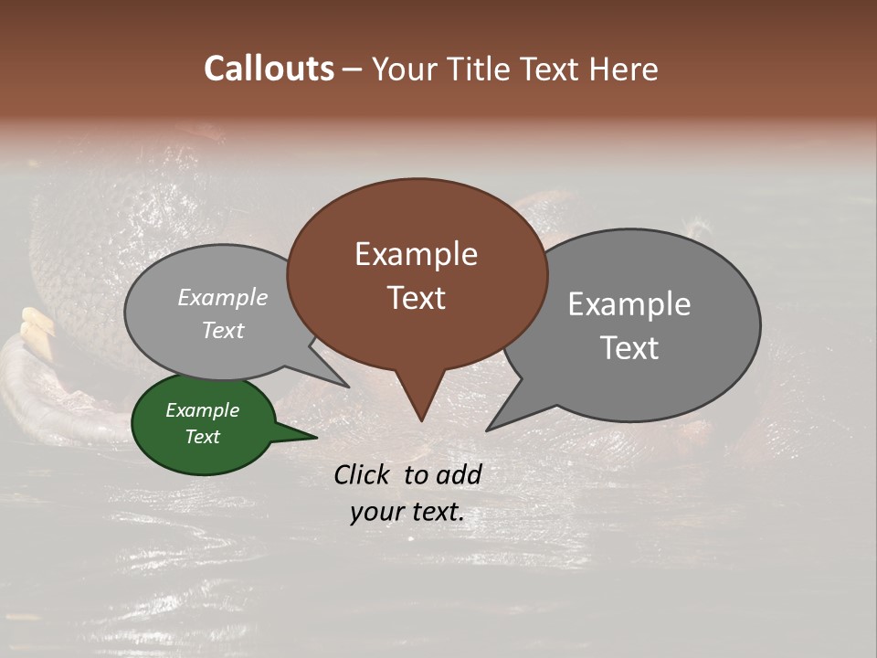 A Hippopotamus In A Body Of Water With Its Mouth Open PowerPoint Template