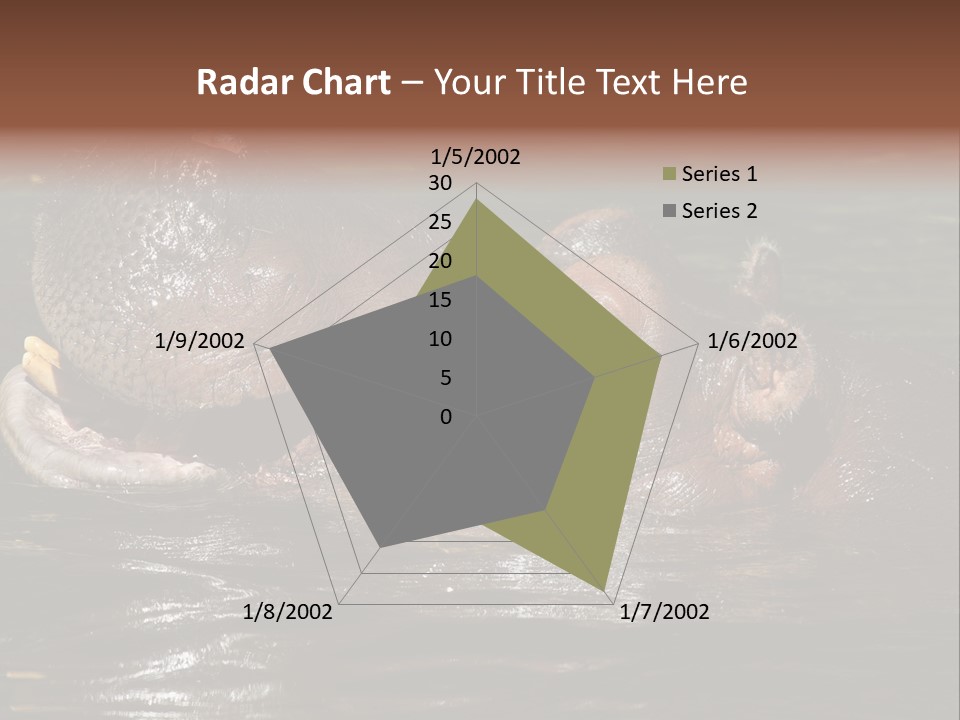 A Hippopotamus In A Body Of Water With Its Mouth Open PowerPoint Template